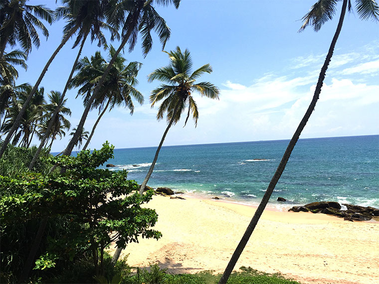 Circuit de 10 jours organisé pour Sri Lanka