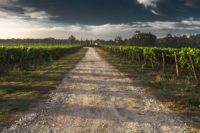 Grand vin de Bordeaux, pain et fromage