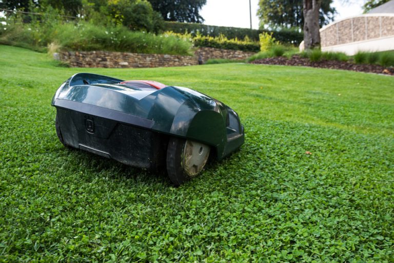 Quelle tondeuse électrique pour un grand jardin de plus de 100m2