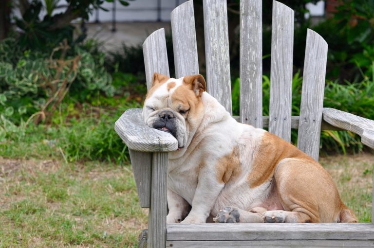 Fatigue et fêtes de fin d'année