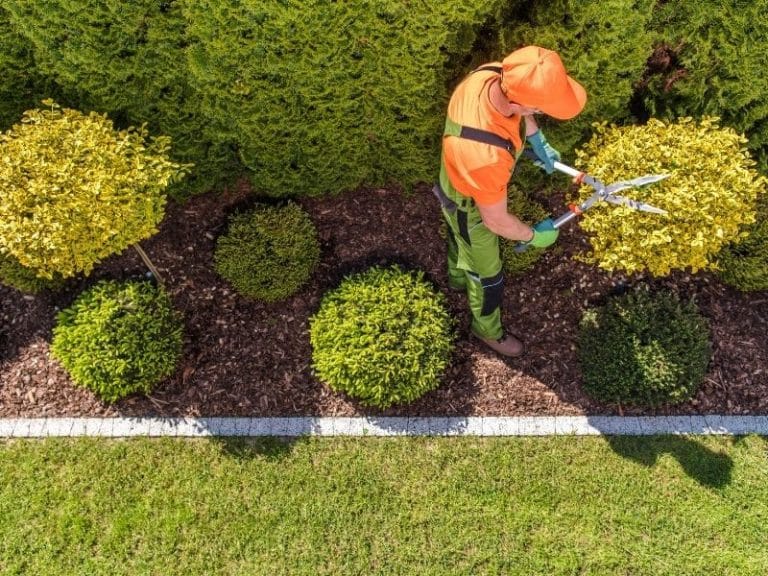 L’importance du plan de plantation pour votre jardin